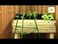 Diseño De Jardines Infojardin