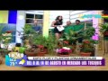 Plantas Ornamentales De Santa Cruz Bolivia