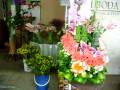 Arreglos Florales Con Orquideas Quito
