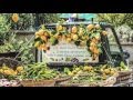 Arboles Frutales 4 Estaciones