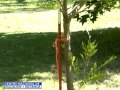Cursos De Decoracion De Jardines En Costa Rica