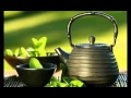 Plantas Curativas Para Bajar De Peso