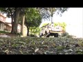 Que Arboles Frutales Se Dan En Clima Frio