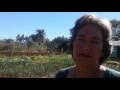Huertos Familiares Agroecologicos