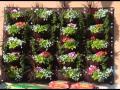 Diseño De Jardines Verticales