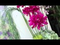 Arreglos Florales Tijuana