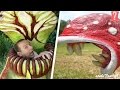 Que Tan Peligrosas Son Las Plantas Carnivoras