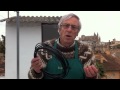 Sistemas De Riego Huerto Urbano