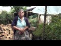 Proyectos De Huertos Familiares En Guatemala