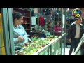 Venta Plantas Carnivoras Santiago Chile