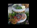 Diseño De Jardines 2d