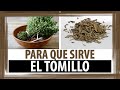 Plantas Curativas Y Para Que Sirven