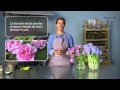 Arreglos Florales Con Orquideas En Bogota