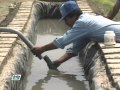 Sistemas De Riego Tecnificado En Peru