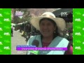 Plantas Ornamentales De Bolivia