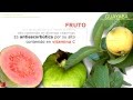 Plantas Curativas Con Nombres