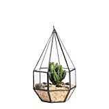 Decoracion De Jardines Verticales
