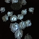 Decoracion De Jardines Para Fiestas