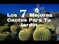 Decoracion De Jardines Con Piedras Y Cactus