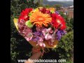 Arreglos Florales Oaxaca Centro