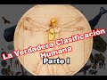 Taxonomia De 15 Arboles Frutales
