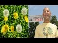 Plantas Curativas Cancer