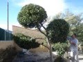 Diseño De Jardines Asturias