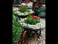 Diseño De Jardines Y Huertas