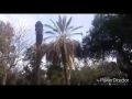 Diseño De Jardines Torreon