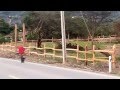 Terrenos En Venta Huertos Familiares
