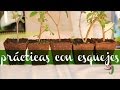Los Claveles 170 Huertos Familiares