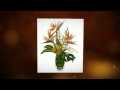 Arreglos Florales Mcallen Tx