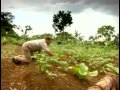 Huertos Familiares Tesoros De Diversidad