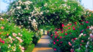 Flores y jardines del Mundo   Flowers & Gardens of the World