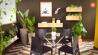 Decora tu casa con plantas de interior