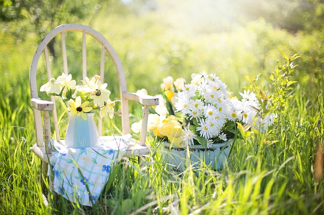 ¿Necesita Asesoramiento Sobre Jardinería Ecológica? ¡ No Busques Más Que Este Artículo!