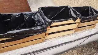 Crea tus Propias Macetas Super Economicas Invernadero Huerto Urbano