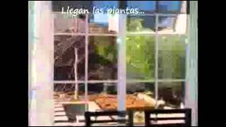 PAISAJISMO, COMO HACER UN JARDIN