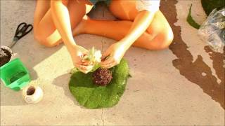 DIY hanging kokedama (Japanese Moss Balls) plant tutorial