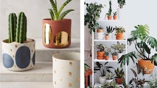 DECORACION CON PLANTAS (CACTUS & SUCULENTS) / HOME DECOR PLANTS