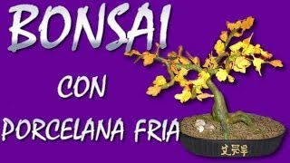 BONSAI CON PORCELANA FRIA
