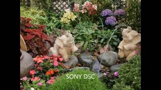 Ejemplo de pequeños jardines y patios decorados Video 3 de 3