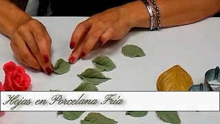 Hojas en Porcelana Fria
