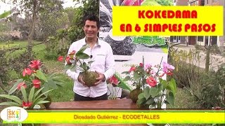 Como hacer una KOKEDAMA.