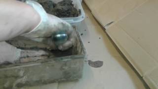 Como hacer maceta para Bonsai de forma barata y rapida