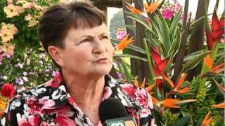 El jardín de doña Ofelia es ahora «Museo Vivo de las Flores»