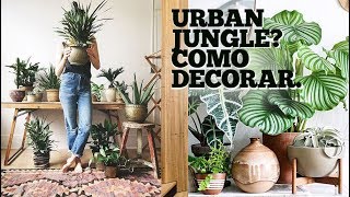 COMO DECORAR COM PLANTAS : FLORESTA URBANA : INDOOR JUNGLE : URBAN JUNGLE : PAULO BIACCHI