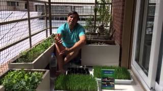 La Huerta en tu Balcón – Parte 1