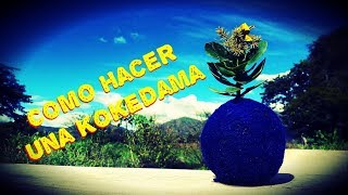 Como Hacer Una Kokedama