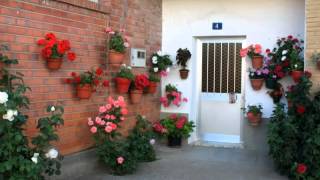 Patios y jardines